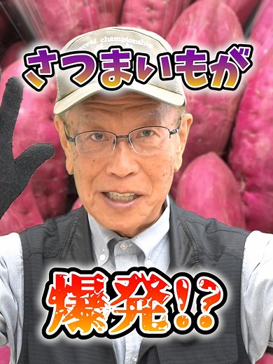 サツマイモ栽培の大量収穫するためのポイントを徹底解説！#家庭菜園 #さつまいも栽培 #苗選び #農園 #栽培