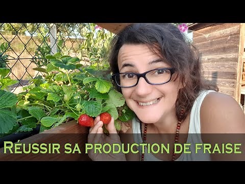Comment réussir la culture de FRAISE au potager ?