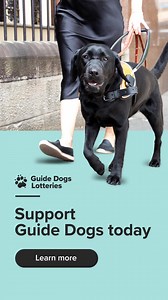 When purchasing a Guide Dogs Lottery ticket you go into the draw to win many exciting prizes. Put your paw in the draw to win and change lives along the way 🦮🐾 T&Cs apply | Guide Dogs Australia