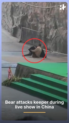 175K views · 338 reactions | A peaceful weekend show at Hangzhou...