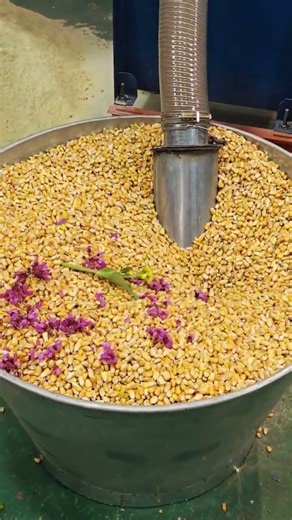 Super corn grinder universal grain crusher easy to operate, efficient and durable, everyone needs it