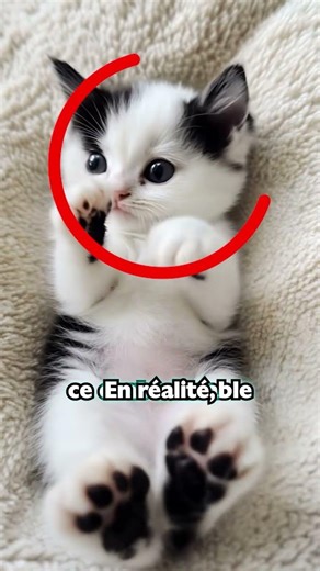 She hates her ex-partner?!😭