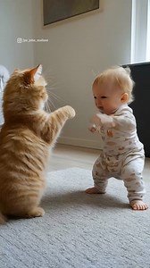 489K views · 7.2K reactions | Will the diaper dynamo outmaneuver the cat’s claws of fury, or is this the ultimate showdown for Tiny Titan? Stay tuned for more action-packed battles as our little legend takes on the animal kingdom one opponent at a time! #TinyTitan #BattleChronicles #CatVsBaby #FelineFury #ComedyGold #EpicShowdownContinues | Jyo John Mulloor | Facebook