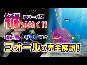 [Summer Sea Bass] A Thorough Guide to Fall Fishing Techniques & Recommended Lures! For Beginners ...