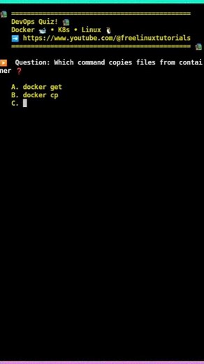 🧊 Docker command to copy files from container