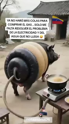 #humor🤪 | Andris Mota