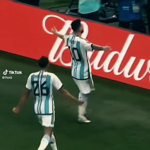 Lionel Messi Incredible Goal Compilation | Barcelona Highlights