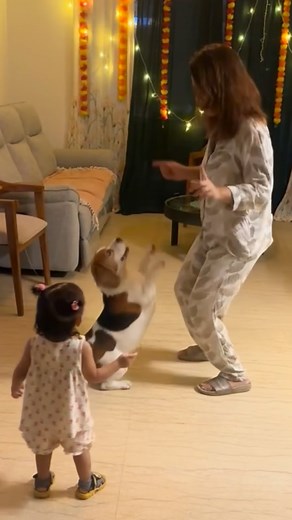 Full on entertainment 😅 (Dog and baby, dog mom, funny , relatable) | Doodle