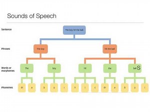 Perception: 11.1 Speech Sounds