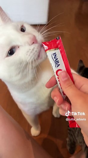 Julia Davis on TikTok