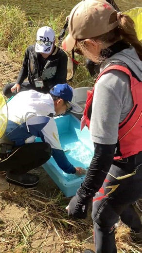 大又川の特部解禁 島 啓悟 さん オトリ配布中