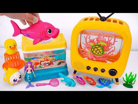 [toy asmr] Catching Fish & Turtle with ZURU Robo Alive Aquarium | Review Toys ASMR