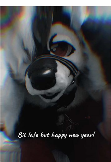 Another lazy post wahoo yippee but yeah happy new year and happy holidays! Hope everyone had a good time :) I'm gettin back to art after a brain break, can't wait for it to be sunny and bright out again!! #fursuit #furrytiktok #furry #skunkfursuit #altfurry