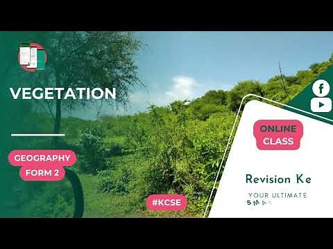 Vegetation | Form 2 Geography | KCSE Revision