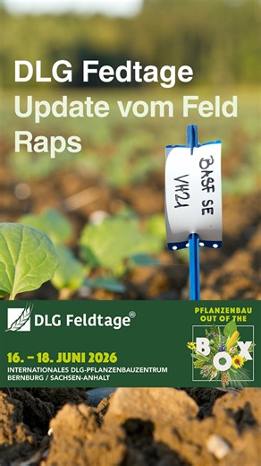 Wir sind zurück auf der BASF Parzelle zur Vorbereitung der DLG Feldtage! Was seitdem passiert ist: ✅ Ende August Raps ausgesät ✅ Kurz danach Regen – dadurch guter Auflauf und stabile Bestände ✅ Unkrautbekämpfung im Vorauflauf mit Butisan® Gold durchgeführt ✅ Leider verstärkter Rapserdflohbefall - zwei gezielte Insektizideinsätze nach Schadschwelle Nächste Schritte: ➡️ Architect® Maßnahme zur Winterfeststellung und um Überwuchs sowie möglichen Phomabefall zu verhindern @feldtage #DLGFeldtage #Agr