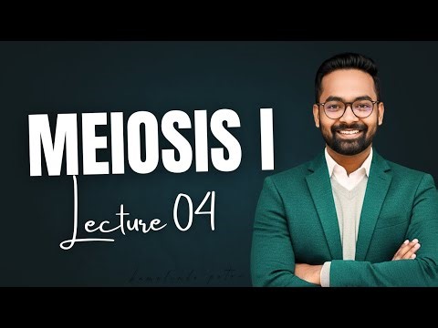 Meiosis I | Class 11 Biology | Prophase I to Telophase I Complete Explanation