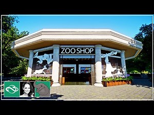 🐘 Building a Charming Small Zoo Gift Shop in City Zoo | Planet Zoo Speed Build