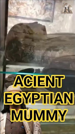 Preserved for Eternity, A Timeless Egyptian Mummy