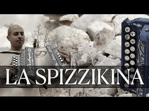 La Spizzikina | Luca Battista - Cover Organetto| Gli Amarimai