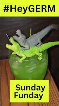 ‘Judge Not Claude’ Rules Against Jeremy Hales ‪@WhatTheHales‬