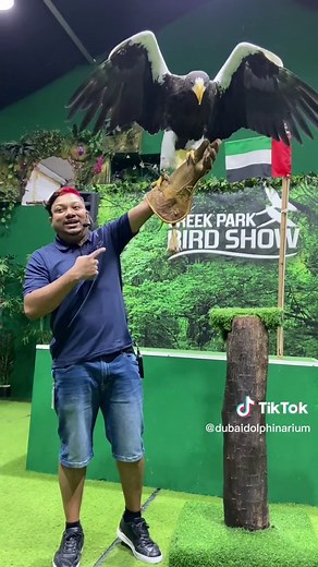The World's Largest Sea Eagle in Dubai | Creek Park Bird Show