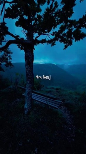 A Song That Feels Like a Sweet Dream... 🕊️✨ | Soulful Status #lovestatus #lovestatusthislyrisc