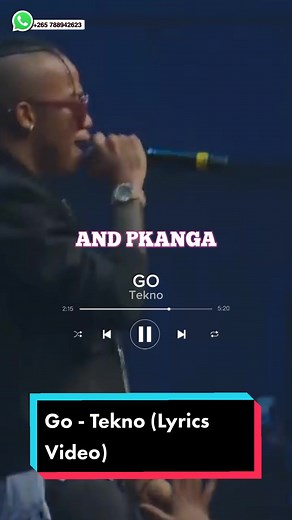 Go - Tekno (Lyrics Video) #music #xyzbca #viral #foryoupage #xyzba #foryou #nigeria #afrobeats #lyrics #lyricsnaija #lyricsafrica #tekno #teknotuner