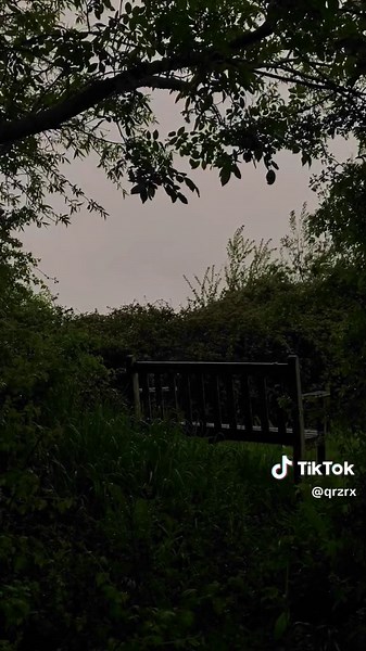 Exploring the Beauty of Lush Green Foliage