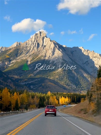 Calming Nature Visuals to Ease Anxiety