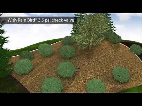 Rain Bird XFCV Check Valve Dripline