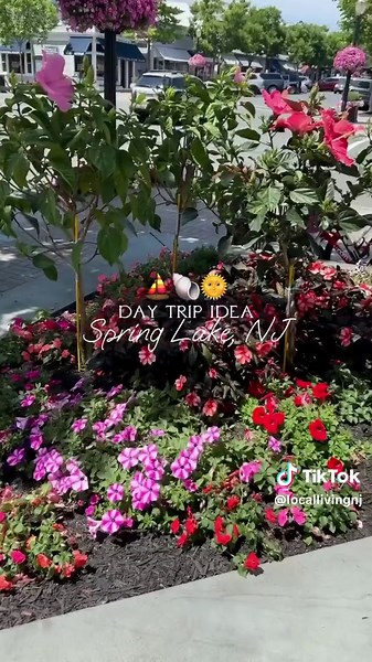 Enjoying the charming sights of Spring Lake on Main St.! ⛱️☀️ Historic Spring Lake’s captivating shopping district welcomes guests from around the world and residents alike with its small-village graciousness and relaxed atmosphere. Nestled within the family-friendly “Jewel of the Jersey Shore,” Spring Lake’s shopping district provides fashionable boutiques, unparalleled customer service, unique galleries, casual outdoor eateries and fine dining experiences. Downtown is a short tree-lined walk f