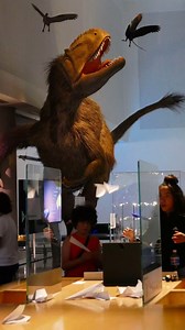 Field trips are a great way to bring science classroom sessions to life. 🚀 Students can spend the day discovering the wonders of STEM in our exhibitions, journey to space in our planetarium and come face-to-face with marine life in our aquarium. Plus, our Learning Labs provide opportunities to dive deeper into science with a facilitated, hands-on learning experience. Learn more about our engaging field trips at https://www.frostscience.org/field-trips/ | Phillip and Patricia Frost Museum of Sci