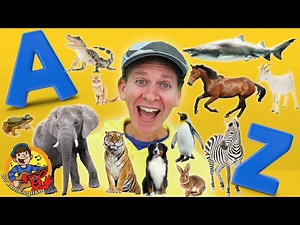A to Z Animals with Matt | Learn 50 Wild Animals A to Z | Dream English Kids - Videos For Kids