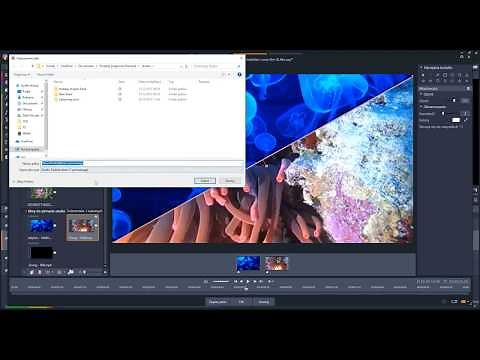 Pinnacle Studio 21 PL Ultimate - Funkcje podziału ekranu