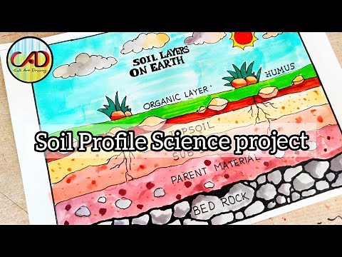 How to draw Layers of Soil diagram drawing || Soil profile poster chart || Soil profile Drawing
