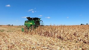 2.5K views · 116 reactions | New video up on my YouTube channel showing the new John Deere X9 1100 combine harvesting corn at the 2020 Farm Progress Virtual Experience. I will have some more of the action from my recent visit at the show coming soon. #fpvx #combine #farmprogressshow #deere #x9 #farm #harvest #harvest2020 #deeresighting #instagood | Farmhand Mike | Facebook