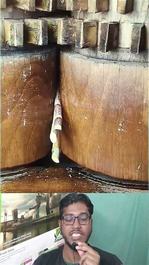 Traditional Cane Press | পুরনো পদ্ধতিতে কাঠের মেশিনে আখ মাড়াই 😮🪵 #shorts #facts #viral #amazing