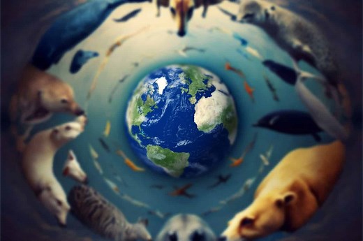 12 Common Animal Stereotypes... Debunked!