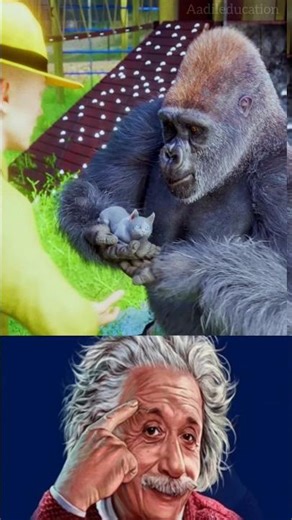 youtube shorts sigma physics 🗿#physics #shortsfeed #shortvideo #shorts #ytshorts #yt #facts