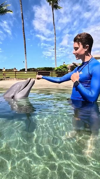 Dolphin Quest: Exclusive Instagram Subscription Launch