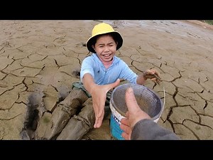 Loc TiVi Shedding tears with the Hard Challenge of Catching Fish in the Swamp