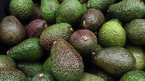 Avocados with twice the shelf life could be in your future