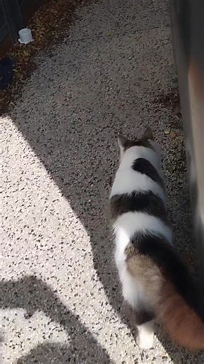 New channel (@new.channel86)’s videos with original sound - New channel