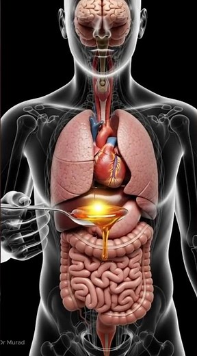 What Happens If You Eat 1 Tablespoon of Honey Every Day? 🍯 | Inside Your Body in 3D