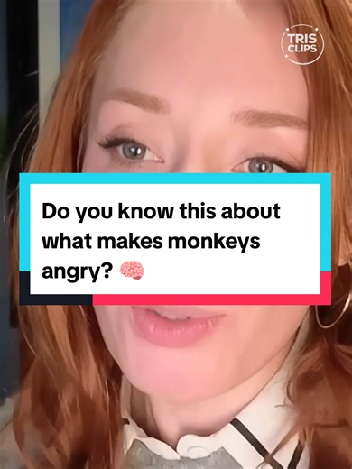 Understanding Monkey Brain and Emotions