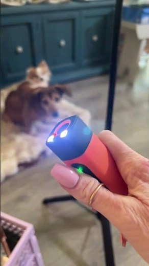 Petos Dog Repeller Ultrasonic Dog Training Device Device With LED Flashlight Pets Supplies