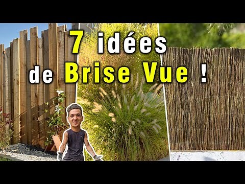 7 Garden Privacy Screen Ideas to Hide Quickly!