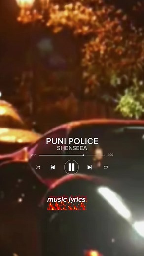 Puni Police Lyrics by Shenseea