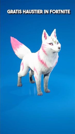 Das NEUE KITSUNE HAUSTIER in Fortnite KOSTENLOS