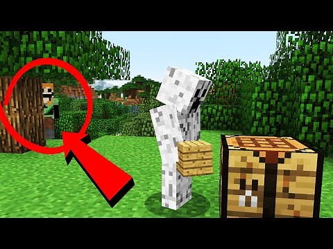 Minecraft CREEPYPASTA: Distorted Alex (ft. KastingShadows)